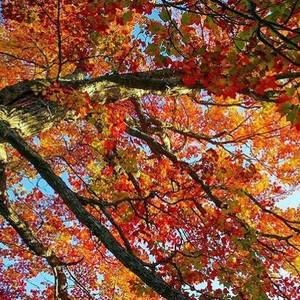 Meet your Posher, Erum